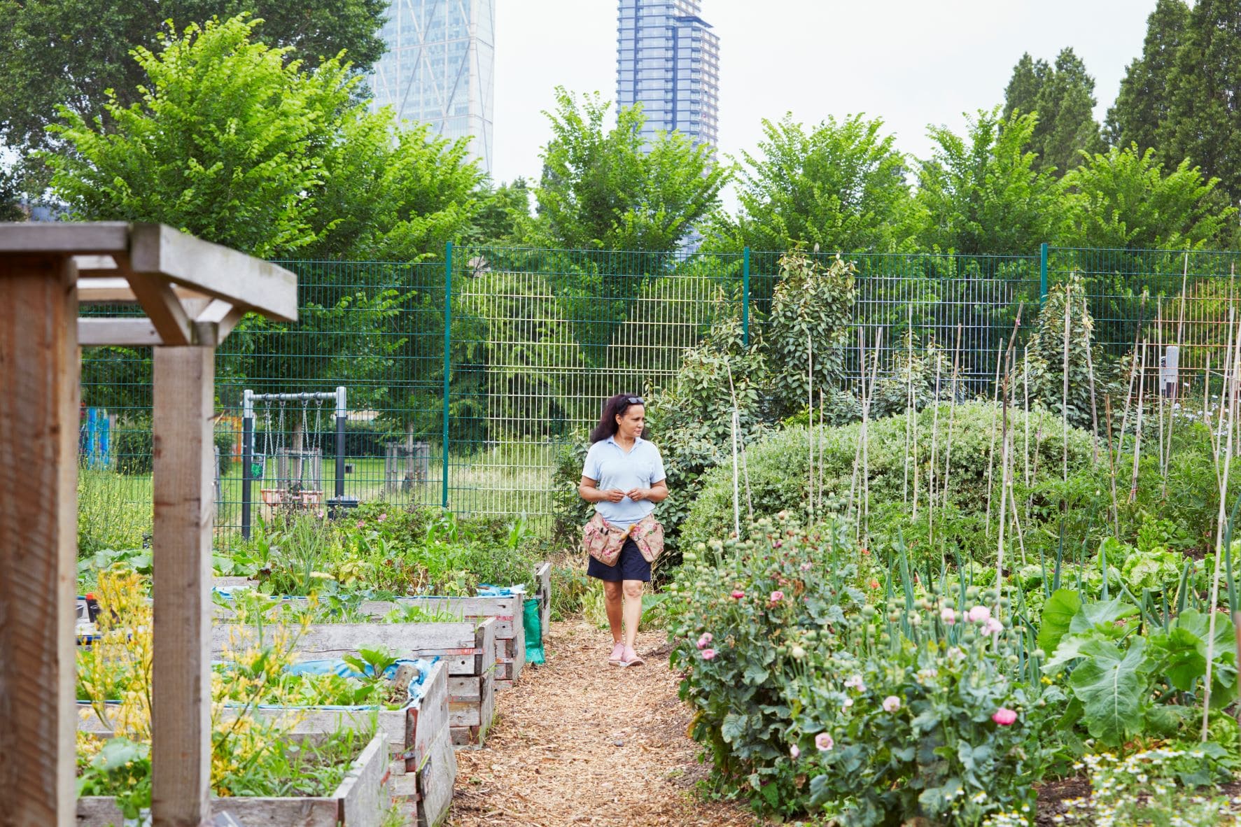 Person walking through a community garden