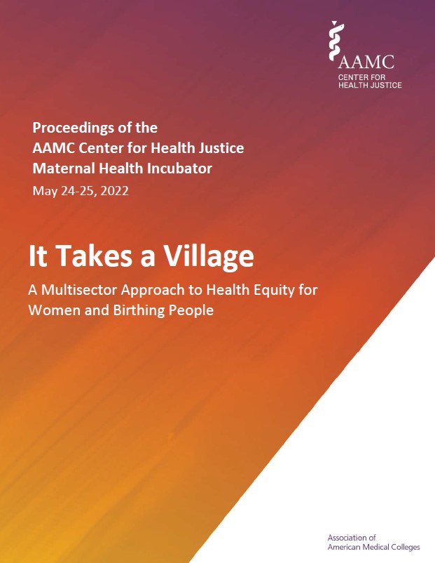 It Takes a Village: A Multisector Approach to Health Equity for Women and Birthing People