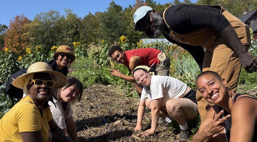 A group of farmers gather around a garden bed at a farm on a sunny day