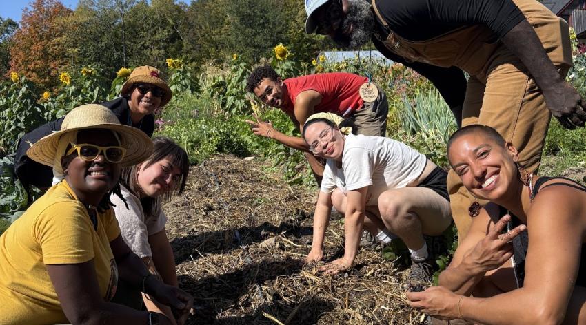 A group of farmers gather around a garden bed at a farm on a sunny day